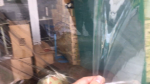 MÀNG DÀY ( 1m2 x 1m) Màng nhựa PVC trong dẻo dày 2mm