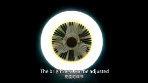 Modern Ceiling Fan with Ceiling Light LED Three Color Remote Mode Warm Light Neutral White and White Light Control LED Lamp Fan Light