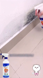 500ML Cairan Anti Jamur Tembok Spray Penghilang Jamur Semprotan Penghilang Jamur Lemari Kayu