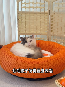 Pet Cat Dog Bed Mat With Non-Slip Bottom Washable Warm Soft Breathable & Moisture Proof Puppy Bed