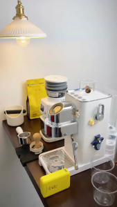 Petrus Coffee Machine Professional Espresso Maker Cappuccino Machine with Steam Milk Frother Stainless Steel Body Removable Water Tank Gift for Dad Mom PE3663