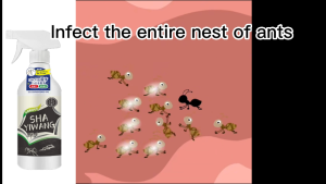 No ants for 50 years ant killer 500ml semut buster ant repellent 蚂蚁药 ant killer spray anti ant spray pet friendly anti ant spray 蚂蚁喷雾 Plant formula Chain Kill Effect Ant Bait Ant Venom Ubat semut Racun semut paling kuat