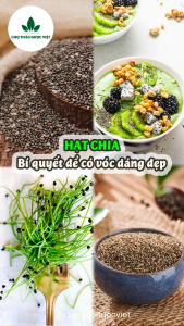 Hạt chia hữu cơ 500g hạt chia dành cho người ăn kiêng nguyên liệu nấu chè pha chế đồ uống nước ép sinh tố