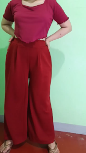 Plus Size High Waist Hanna Wide Leg Pants with 2 pockets