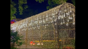 ไฟกระพริบ ไฟตกแต่ง ไฟประดับตกแต่งห้อง ไฟกระพริบปรับได้ 8 โหมด ตกแต่งบ้าน ตกแต่งต้นคริสมาส พร้อมส่ง