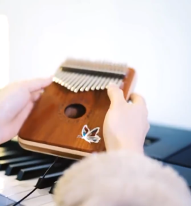 [SG Local] Gecko Authentic Precious Solid Wood Kalimba Professional Kalimba C Tones 17 Keys Kalimba 21 Keys Kalimba 24 Keys Kalimba Precious Red Sandalwood Maple Wood  Camphor Wood Single Solid Wood. High Quality Professional Kalimba Best Gifts