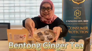 NOTO Ginger Tea Cube | Traditional Teh Halia/Longan/Mixed | Soothing Natural & Healthy | Individual Pack 28g