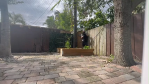 20 x 5Meter Garden Bird Net Garden Netting Protect Fruit Trees Pest Control Net