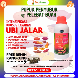 Pupuk Pembesar Buah Ubi Jalar / Pupuk Ubi Jalar Jumbo / Pupuk Khusus Ubi Jalar / Pupuk Ubi Jalar / Pupuk Cair Pembesar Ubi Jalar / Pupuk Buat Ubi Jalar / Pupuk Topfarm / Pupuk Umbi Ubi Jalar
