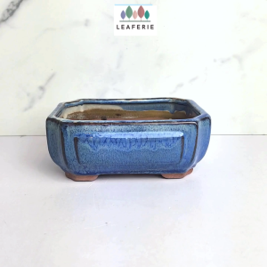 The Leaferie Petit Bonsai Pot (Series 22) Recatngular Plant pot . Ceramic . Flowerpot . Rectangle small purple sand pots