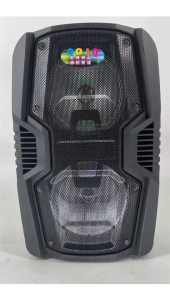 FT-Star  FPA-8808 12" LED Party Speaker with BluetoothMicro SDFM Wireless Micand Remote