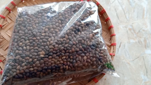 1kg hạt đu đủ chín sấy khô