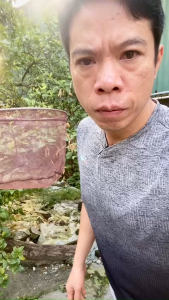 MẶT VỢT TRONG GẤP GỌN LƯỚI  MAU TRÁNG NHỰA KHUNG HỢP KIM SAI 40  -  50 CM