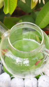 Trà Lá Ổi Giảm Cân Túi Lọc đậu đen gạo lứt. táo đỏ và các thảo mộc tự nhiên Trà Lá Ổi Non Nguyên Chất Giảm Mỡ Bụng