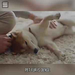 Dog Tick & Flea Spray: A Safe & Non-Irritating Solution