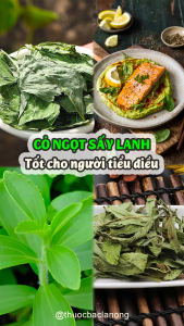 Cỏ ngọt sấy lạnh 100g (Trà cỏ ngọt hữu cơ nguyên lá hỗ trợ ăn kiêng)