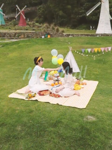 Tikar Kain Piknik Motif Kotak-Kotak & Anti Air: Panduan Lengkap