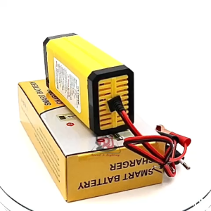Bộ sạc bình pin Lithium loa kéo Dc12v 3AH đến 30AH sạc ắc quy Dc 12v bình pin lithium