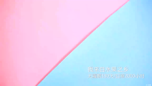 Dried Mangoes Fruit Snack Dried Mango From Vietnam Natural Sweet Snack Soft & Chewy