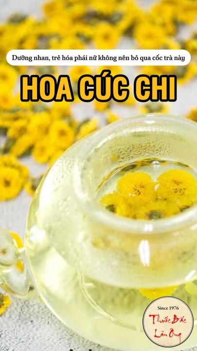 Hoa cúc chi sấy khô 100g (Trà hoa cúc vàng nụ nhỏ thanh lọc cơ thể)