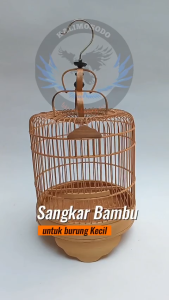 Sangkar Cungkok Pleci Kolibri Sogon Full Bambu