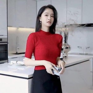 🔥Fran🔥 2025 NEW  Short Sleeved Knitted Top T-shirt for Women Slim Fit Round Neck Blouse 2️⃣0️⃣2️⃣5️⃣