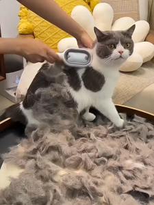 แปรงหวีขนยาว ซิลิโคน สําหรับ หวีนวดสัตว์เลี้ยง สุนัข แมว 3 in 1 หวีอาบน้ำ ทำความสะอาด+นวด หวีสุนัข