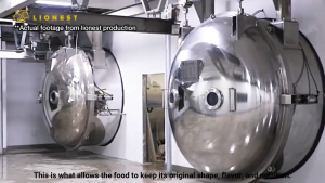 LIONEST PETS Salmon Cube (Trial Pack 40g) | Freeze-Dried | Omega-3 Rich | Cat Dog Treat | Makanan Kucing