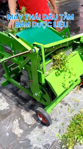 Máy băm cành thảo dược làm trà máy băm lá dâu tằm băm cành cây thuốc nam