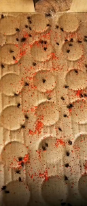 1 กล่อง 25 แพ็ค เหยื่อล่อแมลงวัน ไล่แมลงวัน ผงไข่เน่า ใช้ฆ่าแมลงวันบ้าน ผลดีมาก เพิ่มประสิทธิภาพในการใช้งาน