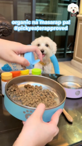 Bare Kitchen Picky Booster Freeze Dried Powder Food Topper Dog & Cat Food Topper Appetite Booster