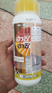 ฮาชิ ฮาชิ ขนาด 250 ซีซี. (ฉลากใหม่) โทลเฟนไพแรด 16% EC. กำจัดหนอนใยผัก ด้วงหมัดผัก เพลี้ยไก่แจ้ส้ม เพลี้ยไฟพริก