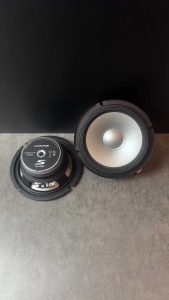 Bass 16cm Alpine ( japan )