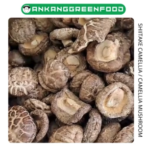 50-100gr JAMUR SHIITAKE CAMELLIA KERING CHA HUA GU CAMELLIA MUSHROOM
