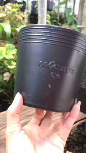 Chậu nhựa C6 trồng cây ươm cây gieo hạt