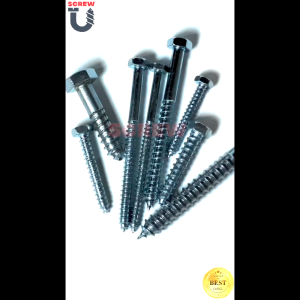 Lagscrew 1/4 5/16 3/8 Expansion Anchor Sold per pc