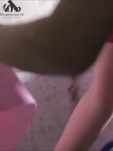 Khăn Siêu Thấm Siêu Hút Nước Clean Cham Không hộp