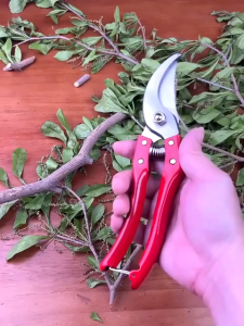 Garden Plant Pruning Shears Tree Pruner Branch Scissor Stainless Steel Flower Scissors Home Hand Bonsai Tool Cutter Gardening Planting Tools