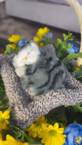 Hoa Giả Giỏ Hoa Lụa Giả Mây Đan Trang Trí Nhà Cửa Văn Phòng Làm Đạo Cụ Chụp Ảnh-(Mẫu 23-Dáng Tròn Mèo Tông Vàng Xanh)