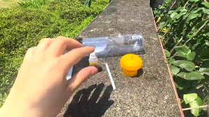 6x6x2CM Fruit Fly Trap / Fruit Fly Trap Killer Alat Perangkap Hama Serangga Lalat Buah