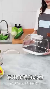 เครื่องละลายเนื้ออเนกประสงค์เครื่องละลายเนื้อแบบอเนกประสงค์ปรับอุณหภูมิได้รวดเร็วละลายน้ำแข็งสเต็กโดยใช้ความร้อน