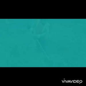 MAKITA เครื่องตัดหญ้า 4 จังหวะ พร้อมขา สะพายบ่า ใบตัดหญ้าวงเดือน 10 นิ้ว 1 ใบ ฟันคาไบร์ SK-5 และ 2 จังหวะ NB 411 ถูกดี