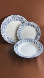 NORITAKE 100%New - Arcadia - 01 Dĩa Cạn Hoặc 01 Đĩa Soup Sâu Hoạ Tiết Lam Hoa