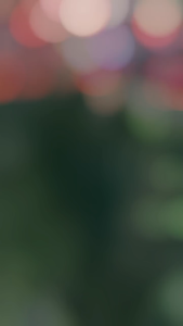 TERPAL UKURAN 5x8 METER PALING TEBAl A20  KOREA ANTI AIR DAN PANAS UNTUK KOLAM IKAN/TENDA/JEMUR PADI