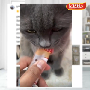MISHA Creamy Cat Treats 15g x 6 sticks