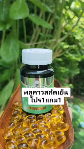 พลูคาวสกัดเย็น สะเก็ด  พลูคาว เชื้อ ผื่น ลม สะเก็ด กลาก ผื่น ผิวหนัง เม็ดซอฟเจล กระปุก30เม็ด