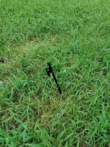 Palu Camping Ultralight Camping Hammer Pasak Tenda Camping Glamping