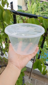 Set 50 Tô 1.000ml Đáy bằng chịu nhiệt - Nhựa cứng - Đựng bún phở đồ ăn nóng lạnh mang đi...