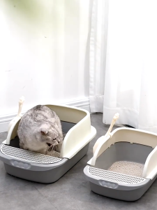 Kotak Kotoran Kucing: Pelatihan & Pemilihan Berkualitas