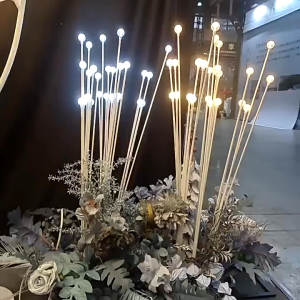 Đèn dẫn lối bi cầu 1 cụm 25 cây trang trí đám cưới dẫn lối sự kiện nhà hàng khác sạn decor gia tiên